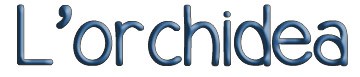 homepage L'ORCHIDEA